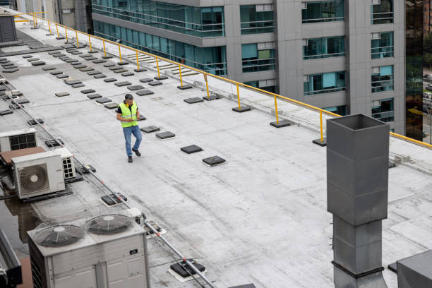 Best Skylight Installation and Repair  in Powell, OH